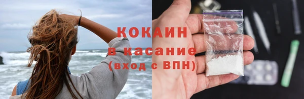 ПСИЛОЦИБИНОВЫЕ ГРИБЫ Осташков