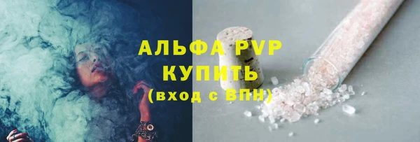 шишки Горно-Алтайск