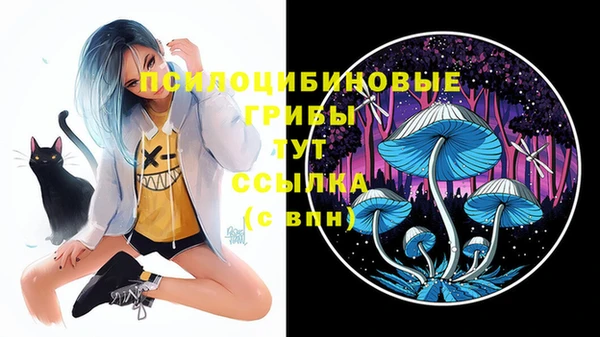 мефедрон Бутурлиновка