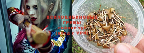 гидра Остров