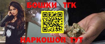 крисы Абакан