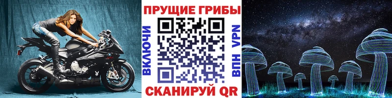 Галлюциногенные грибы Psilocybe  Алексин 