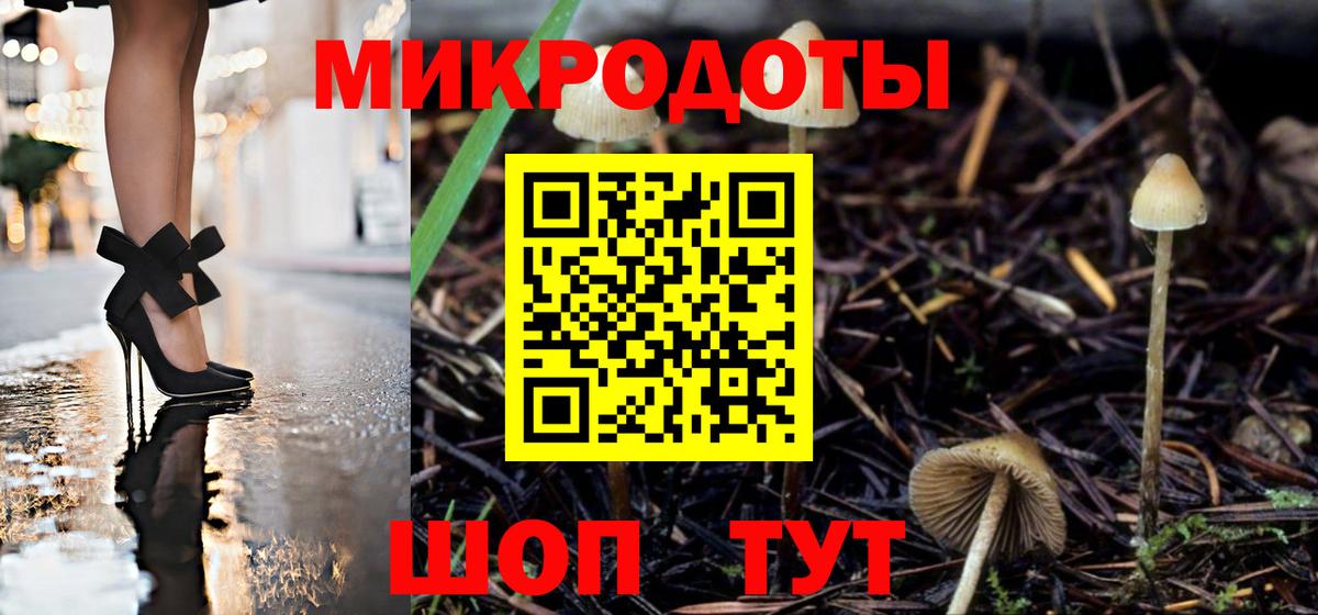 Псилоцибиновые грибы Psilocybe Алексин