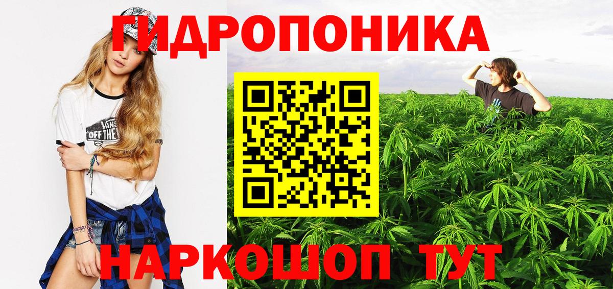 Бошки марихуана семена  Алексин  МАРИХУАНА VHQ 